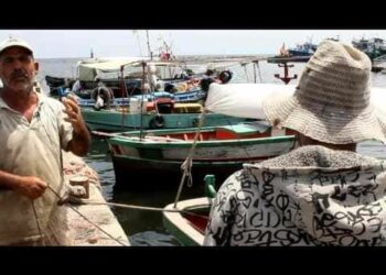 ACAM: Programme de Journée d’étude à l’occasion de l’AG 2023